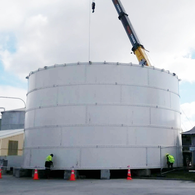 Factory China Supplier 100t Stainless Steel Storage Cement Bolted Bag Type Grain Silo