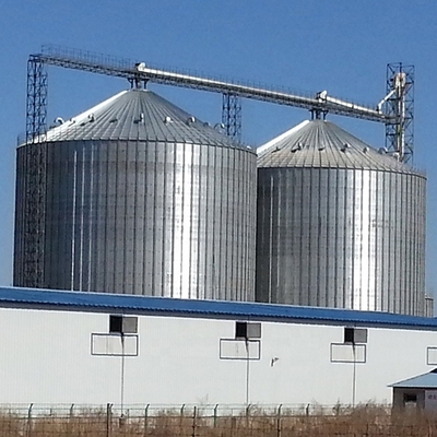 Steel Farms 1000t Grain Storage Silo