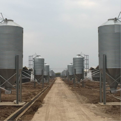 Poultry farm feeding in Muhe hot sale 20T poultry feed silo used for poultry farm small grain silo